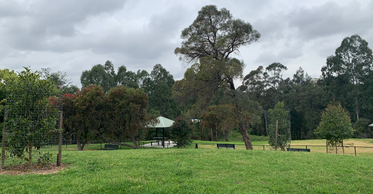 On top of hill view of trees, picnic hut and reserve field
