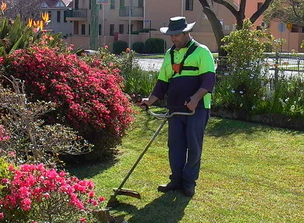 City Services maintaining the lawns of Parramatta