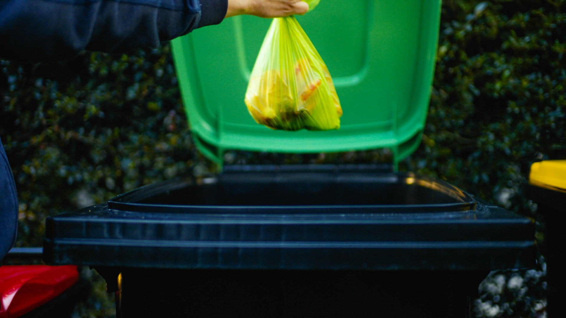 Green Bin lid open 