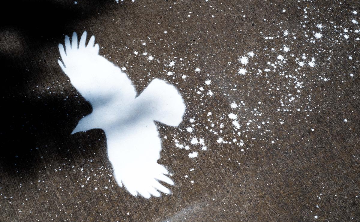 A stencil of a  white bird interspersed with paint splatter on a concrete surface