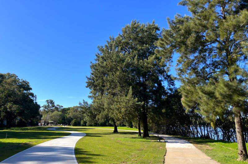 Two paths in park along the river