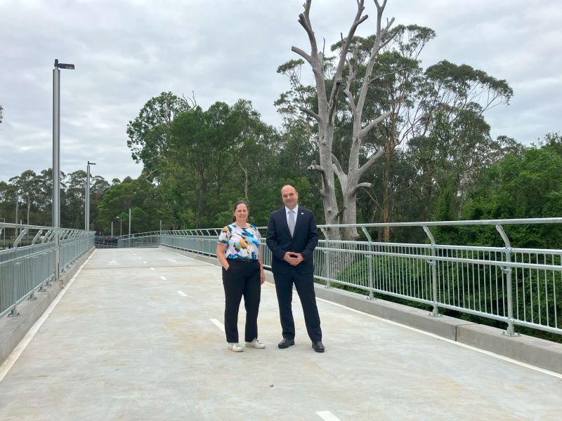 Lord Mayor and TfNSW delegate