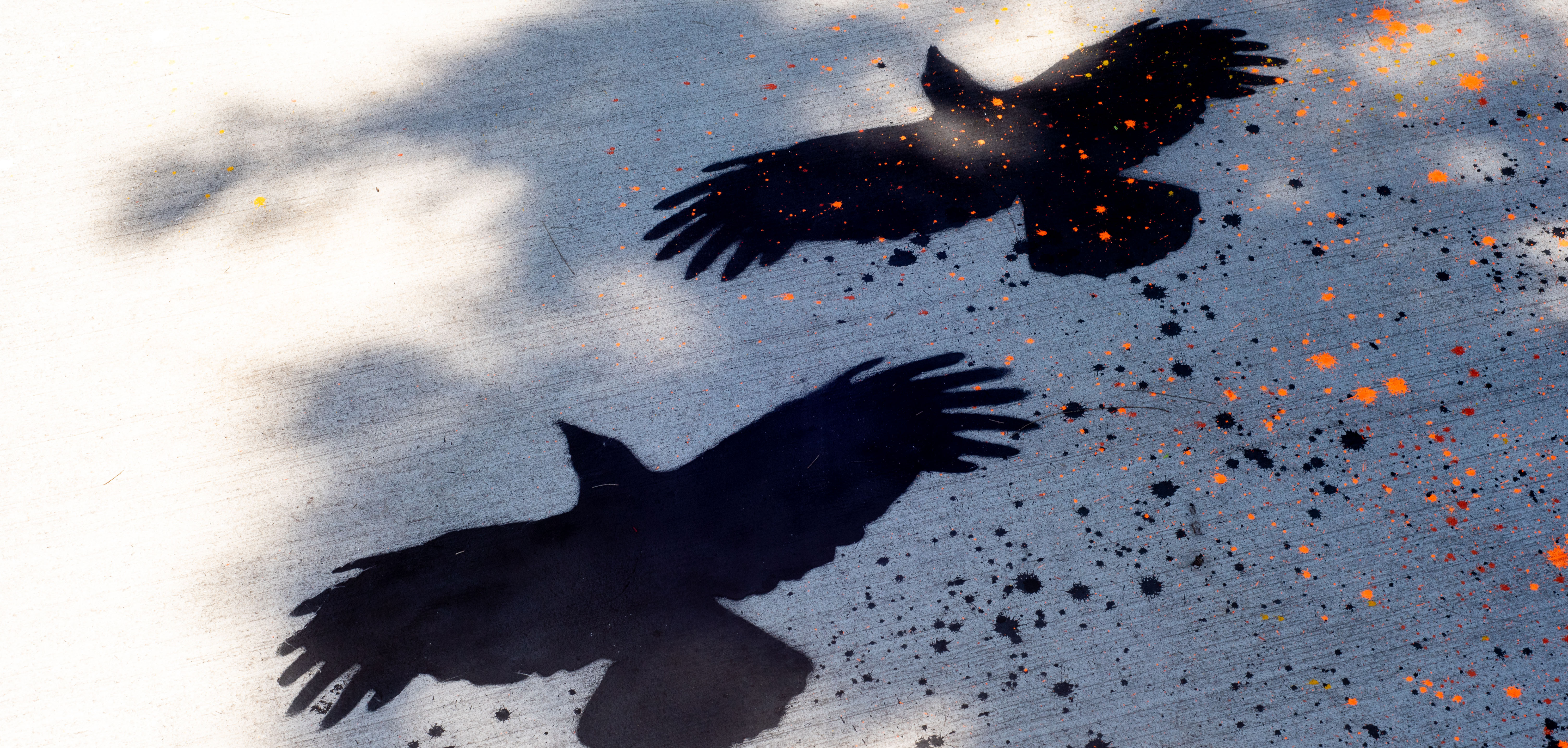 A stencil of two black birds interspersed with paint splatter on a concrete surface