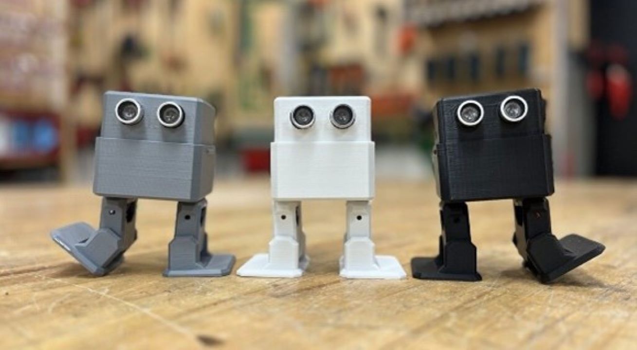 Mini Robots