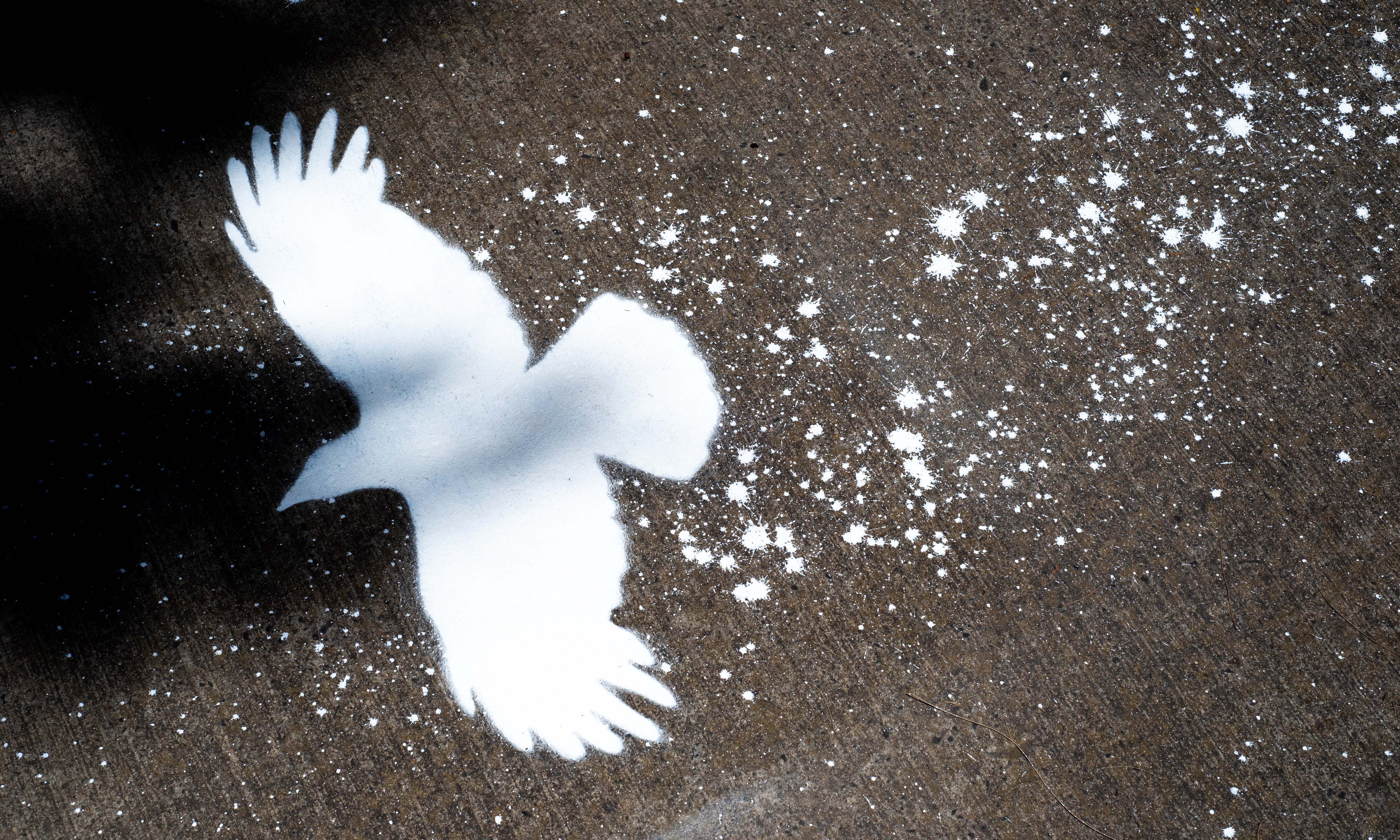 A stencil of a white bird on a concrete surface