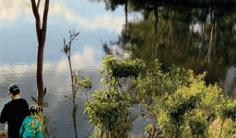 Lake Parramatta Reserve Visitor Guide Brochure | City Of Parramatta